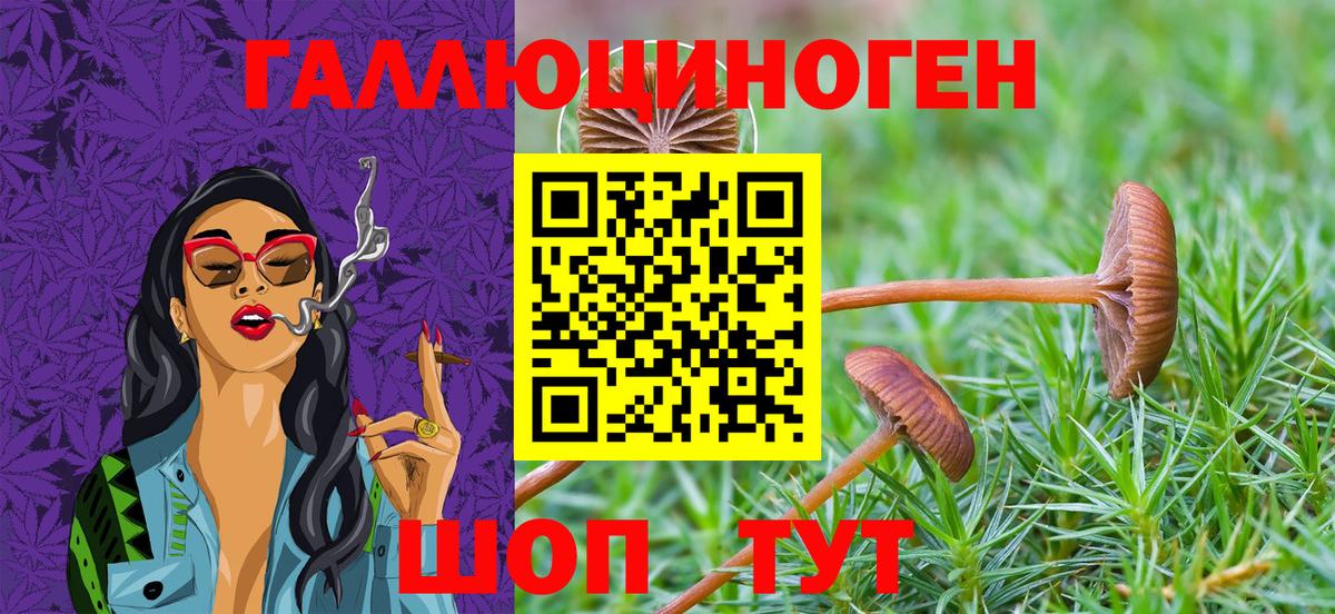 Псилоцибиновые грибы Cubensis  Вход с VPN  Шахты  Галлюциногенные грибы MAGIC MUSHROOMS 